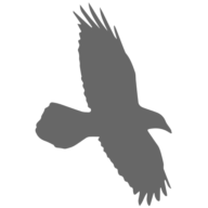 Raven5